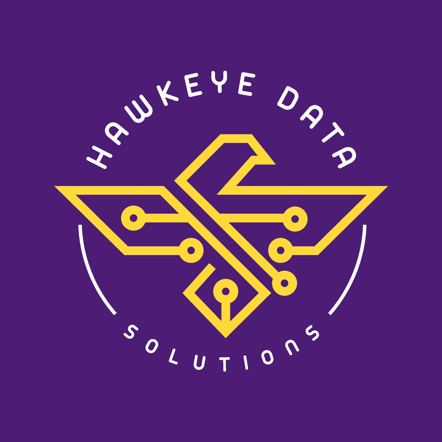 HawkEye Data Solutions logo: a gold circuit-board hawk on violet